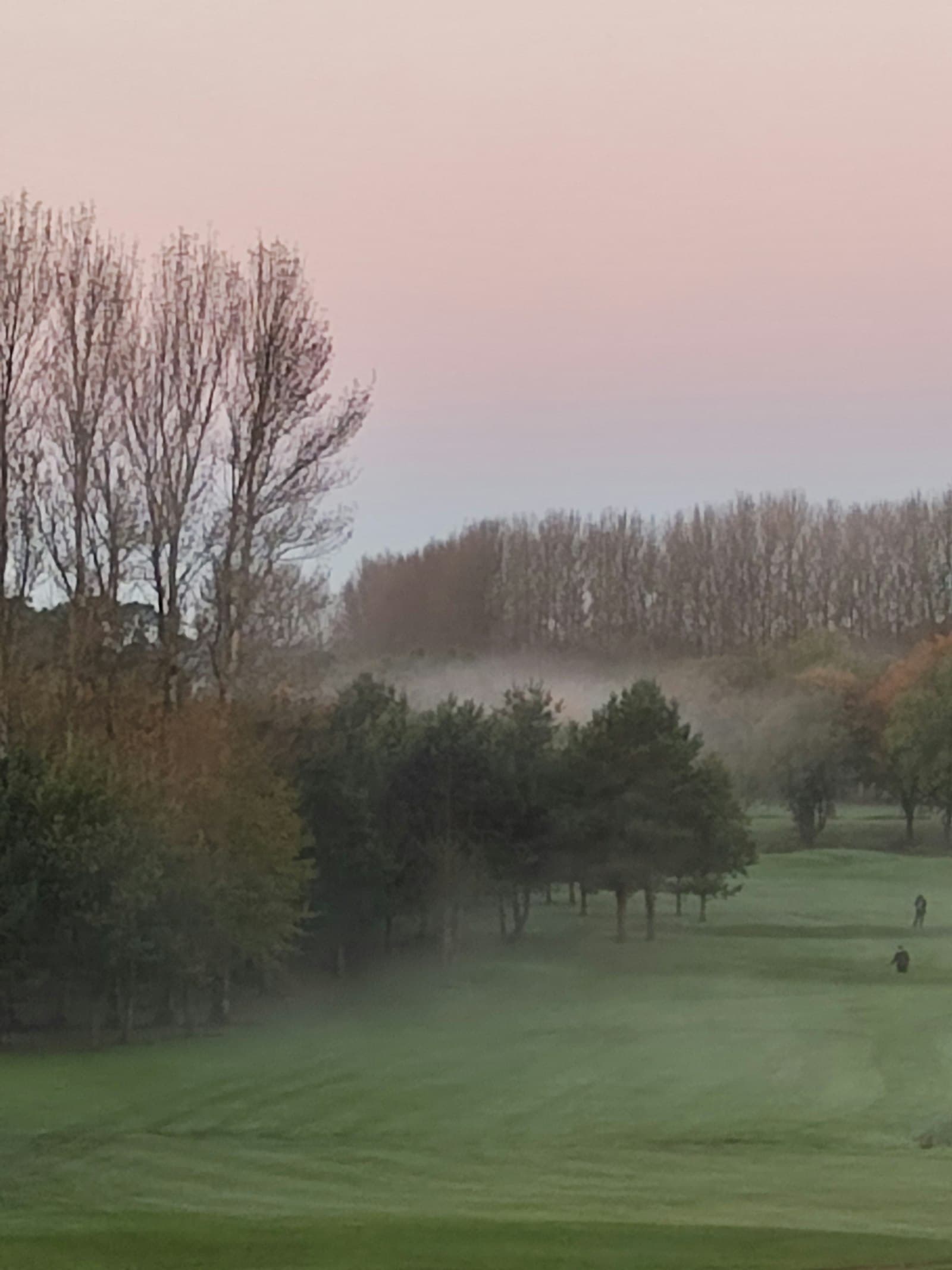 A quiet, foggy morning on the golf course